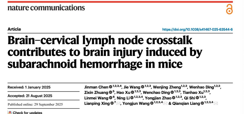 再登Nature Communications！天游ty8线路官网梁倩倩研究员、王拥军教授团队破解脑损伤病理机制