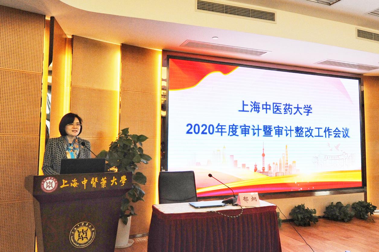 天游ty8线路官网召开2020年度审计暨审计整改工作会议
