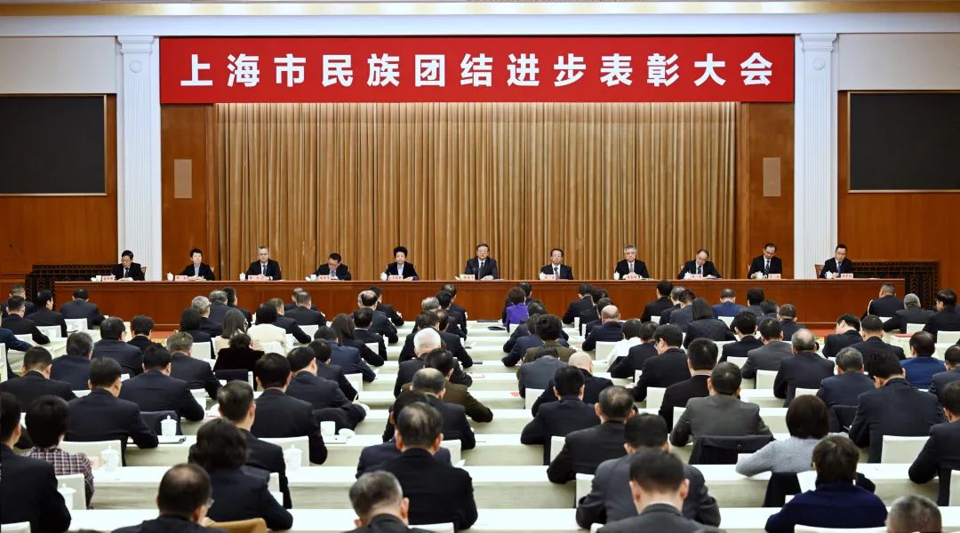 天游ty8线路官网民族联会长向延卫荣获“上海市民族团结进步先进个人”称号