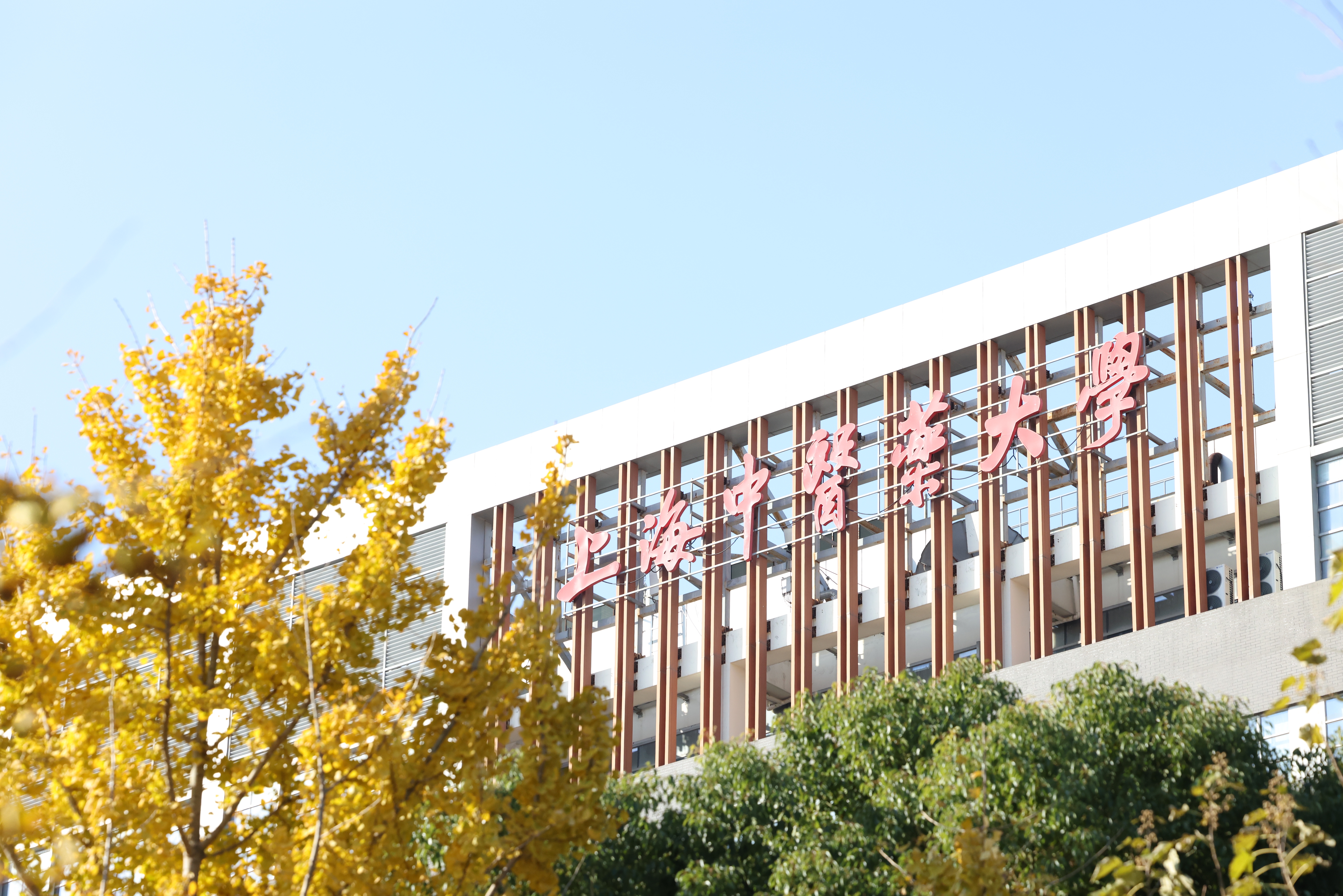 天游ty8线路官网专家委员会召开“十五五”规划研讨会