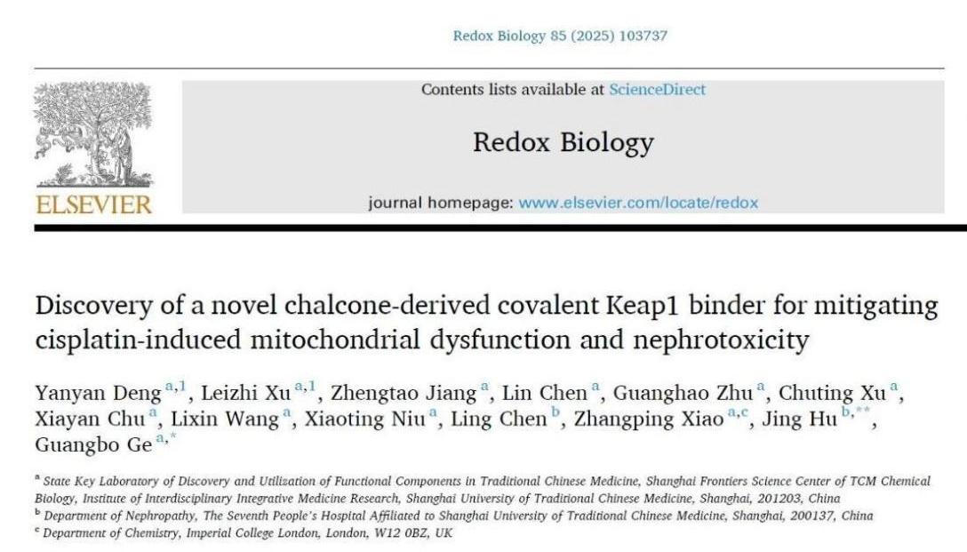 天游ty8线路官网团队研发新型肾靶向Nrf2激动剂用于缓解急性肾损伤