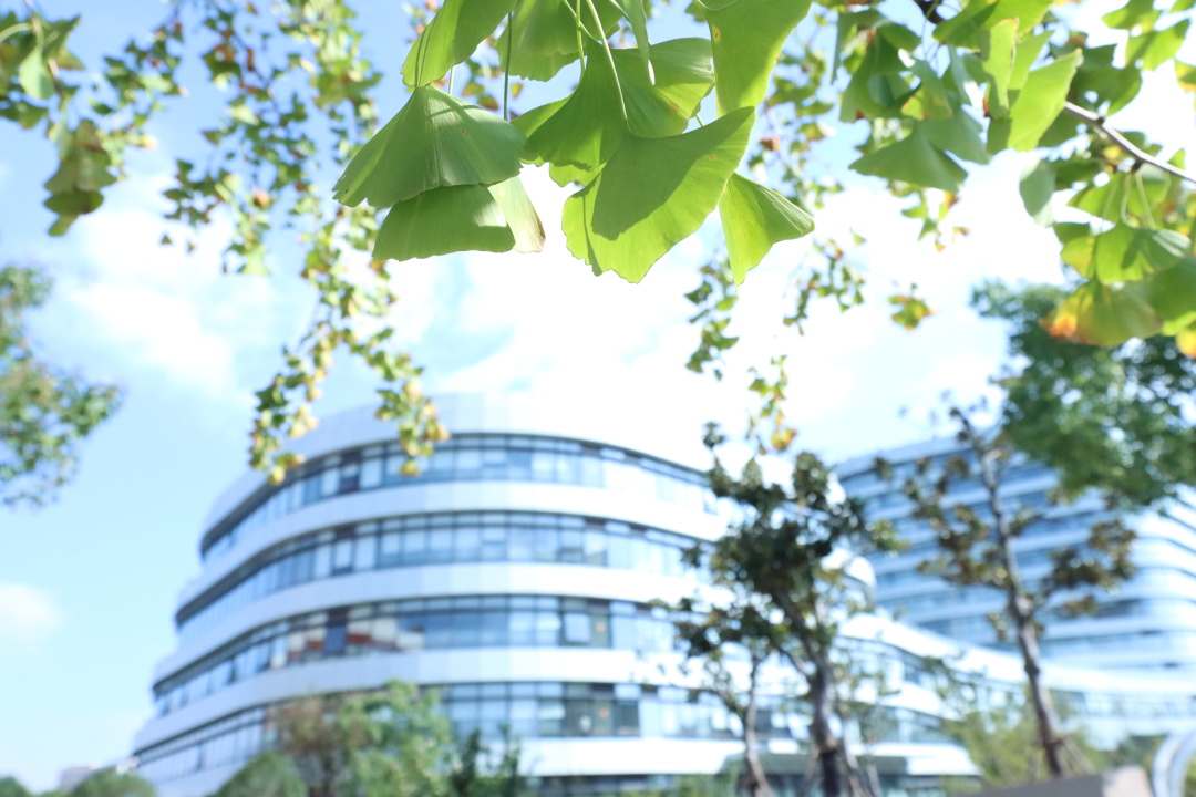 祝贺！天游ty8线路官网系统多个集体和个人获先进表彰！