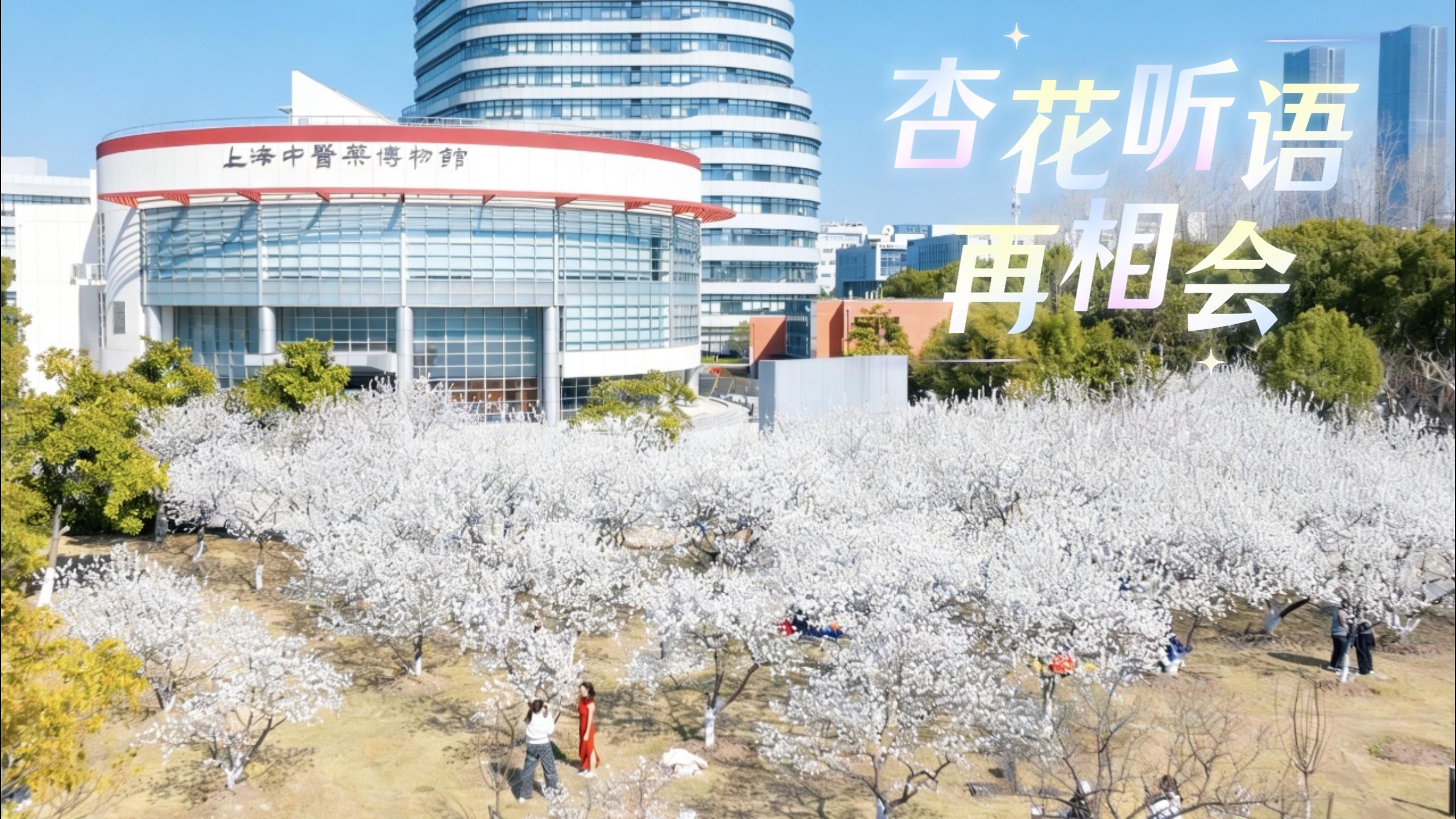 第二届“杏花听语”文化艺术活动周暨“校友返校”活动收官！