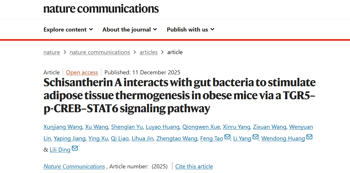 天游ty8线路官网丁丽丽研究员、杨莉研究员带领双方团队破解中药来源天然产物促进脂肪产热减重新机制