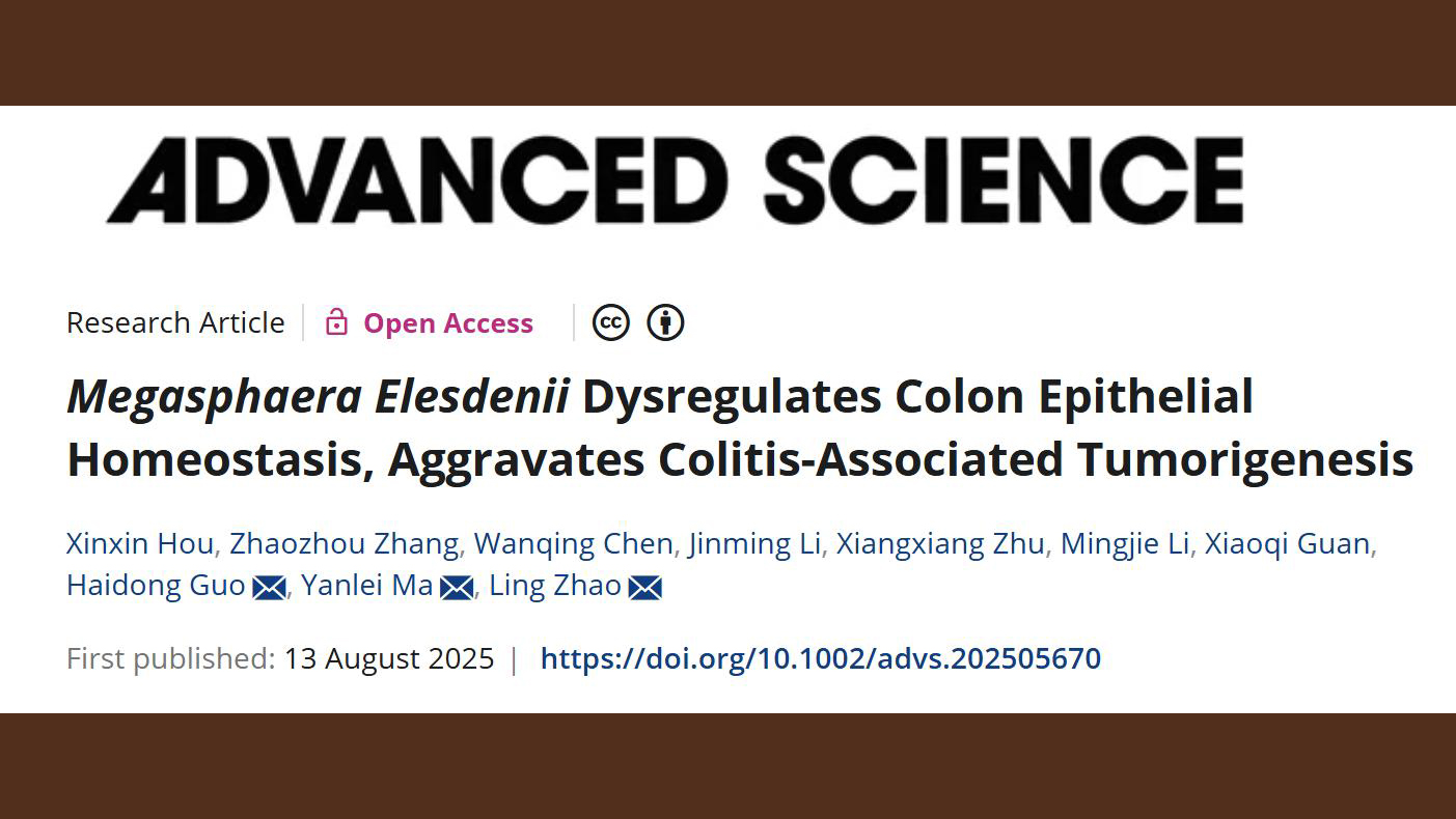 天游ty8线路官网中西医结合学院研究团队揭示肠道菌Megasphaera促进结直肠癌炎癌转化的机制